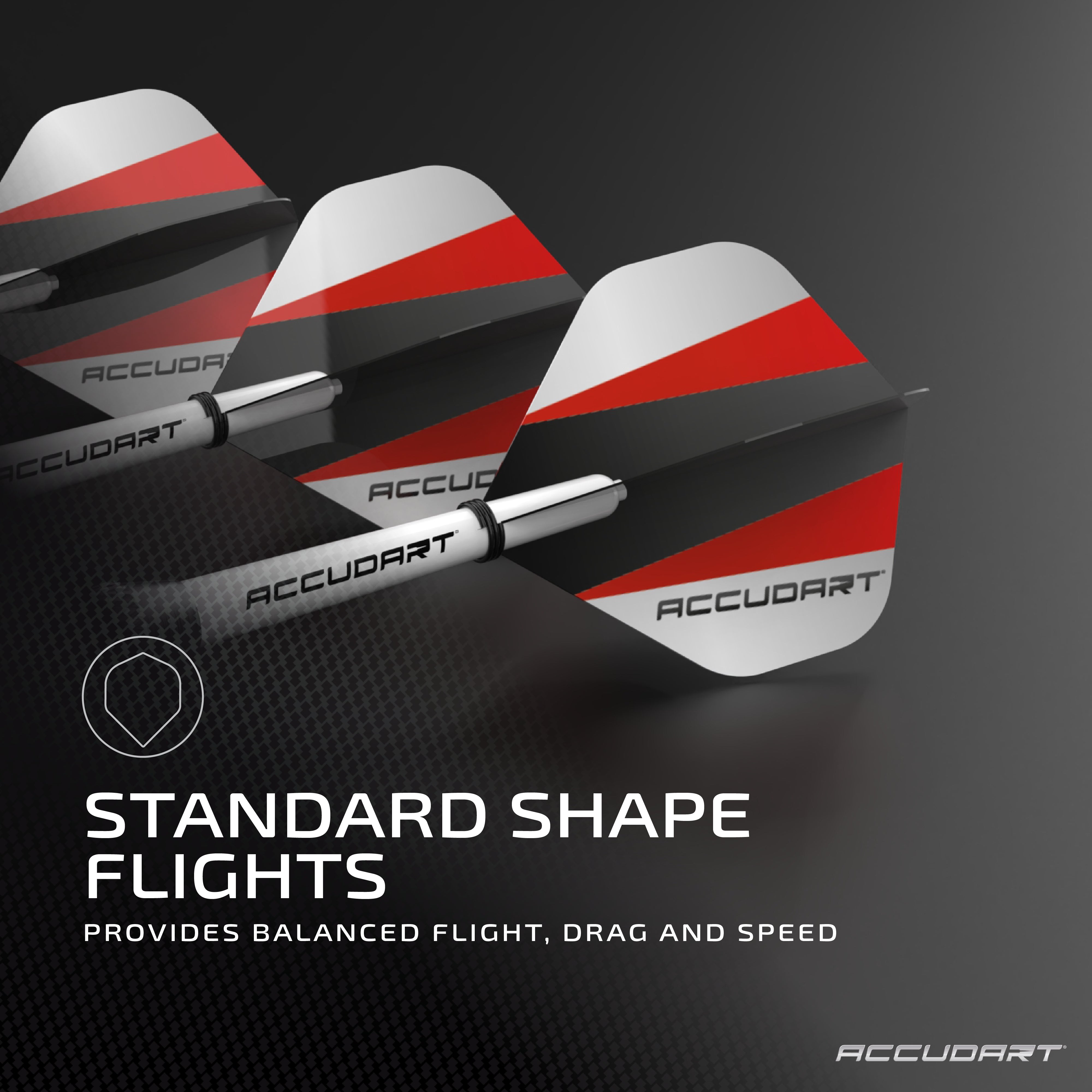 Accudart Steel Tip Dart Set 1.0