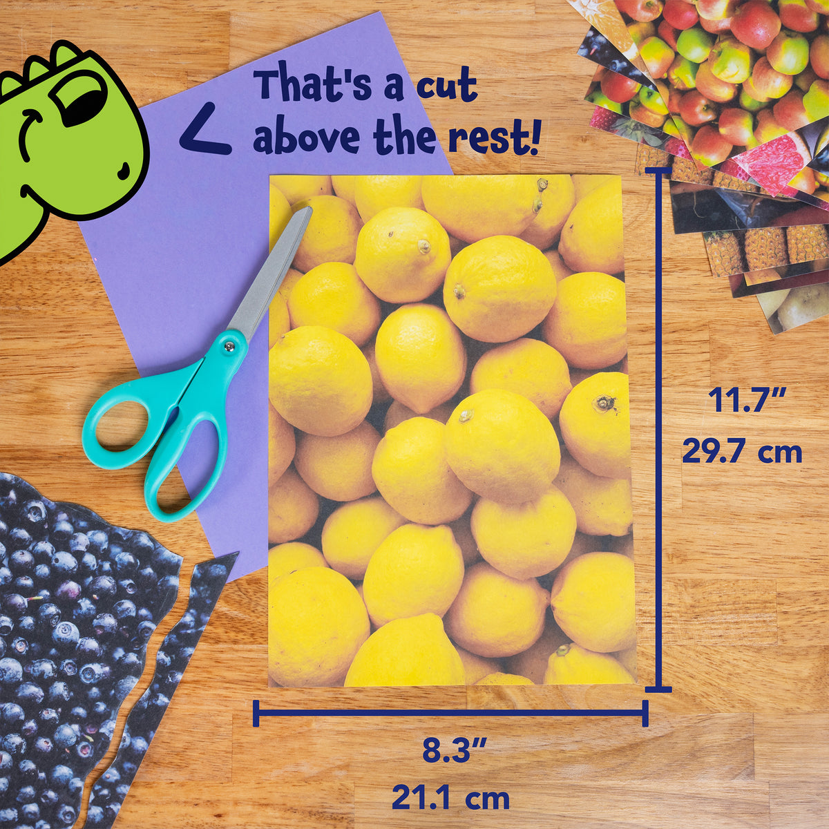 FRUIT AND VEGETABLE PAPER