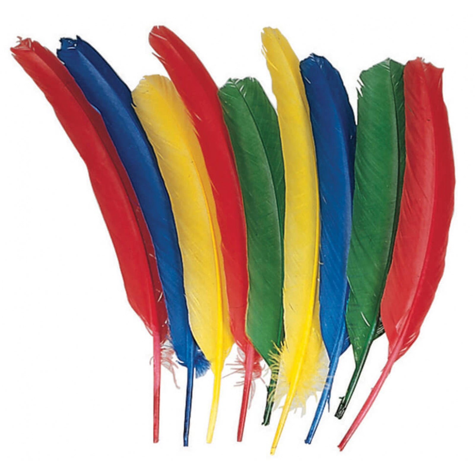 Quill Feathers, Assorted Colors, 12", 24 Pieces