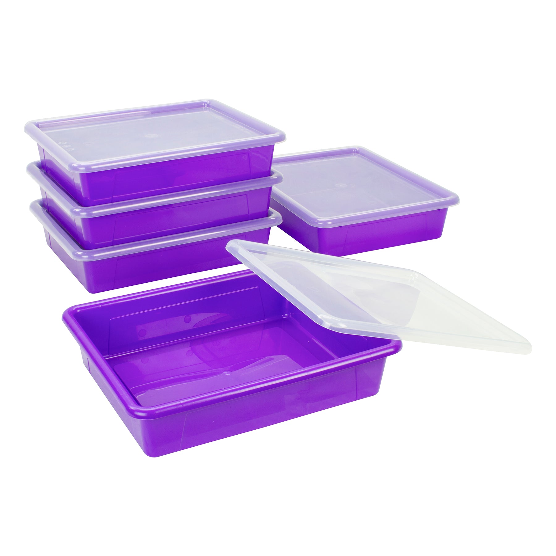 Flat Storage Tray with Lid, Purple