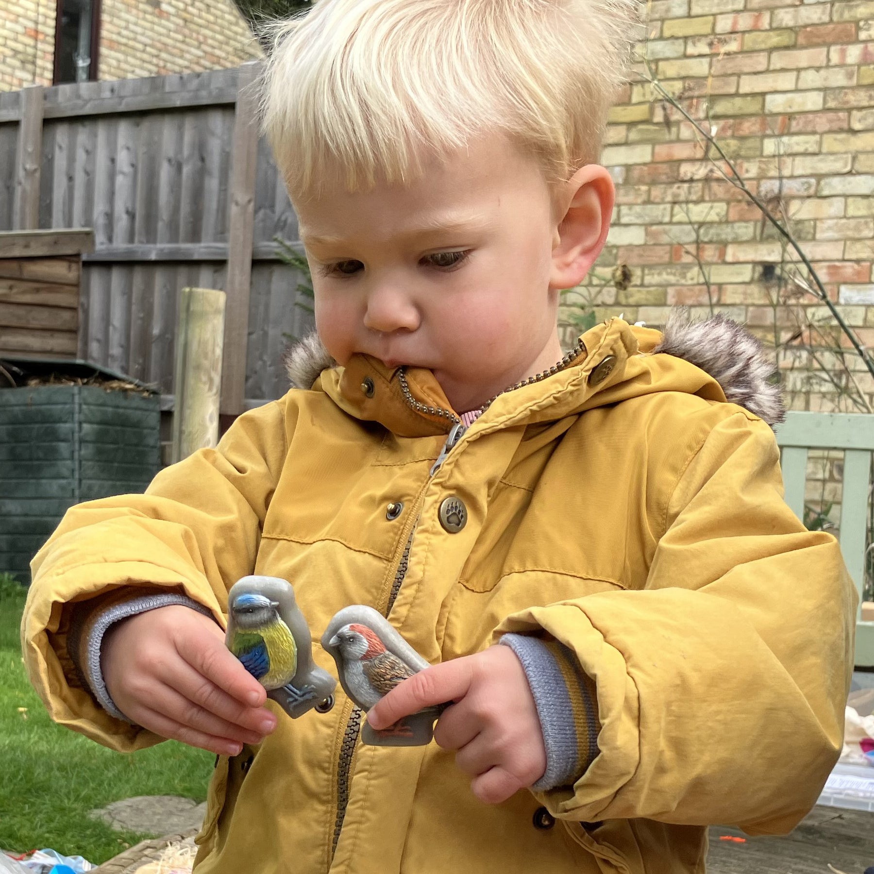 Sensory Play Stones - Birds - Set of 8
