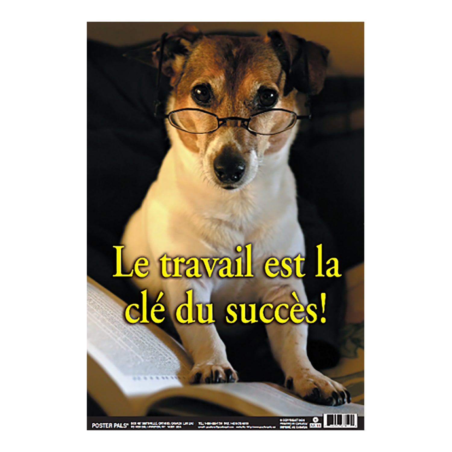 French Fun Photo Posters Set #10, 12" x 18", Set of 4