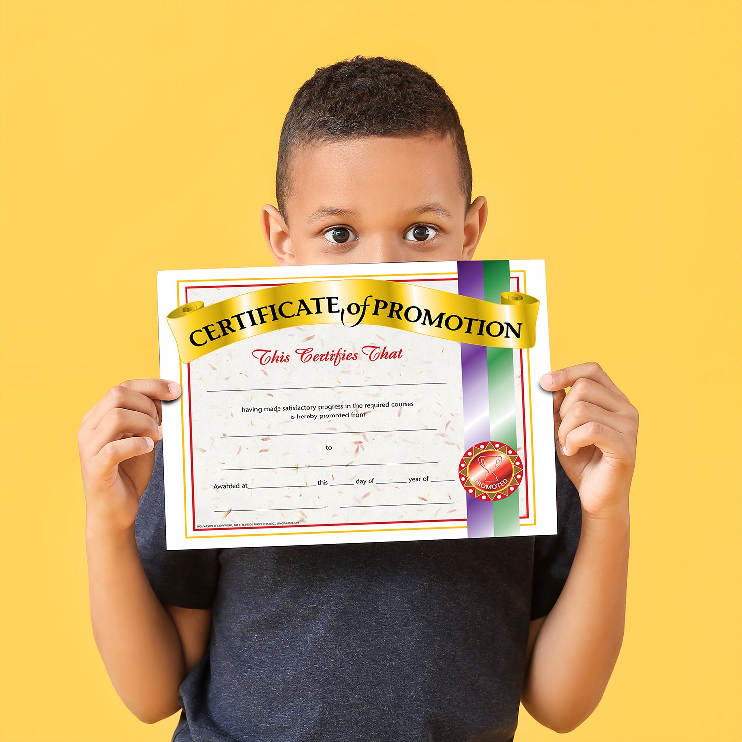 Certificate of Promotion, Pack of 30, 8.5" x 11"