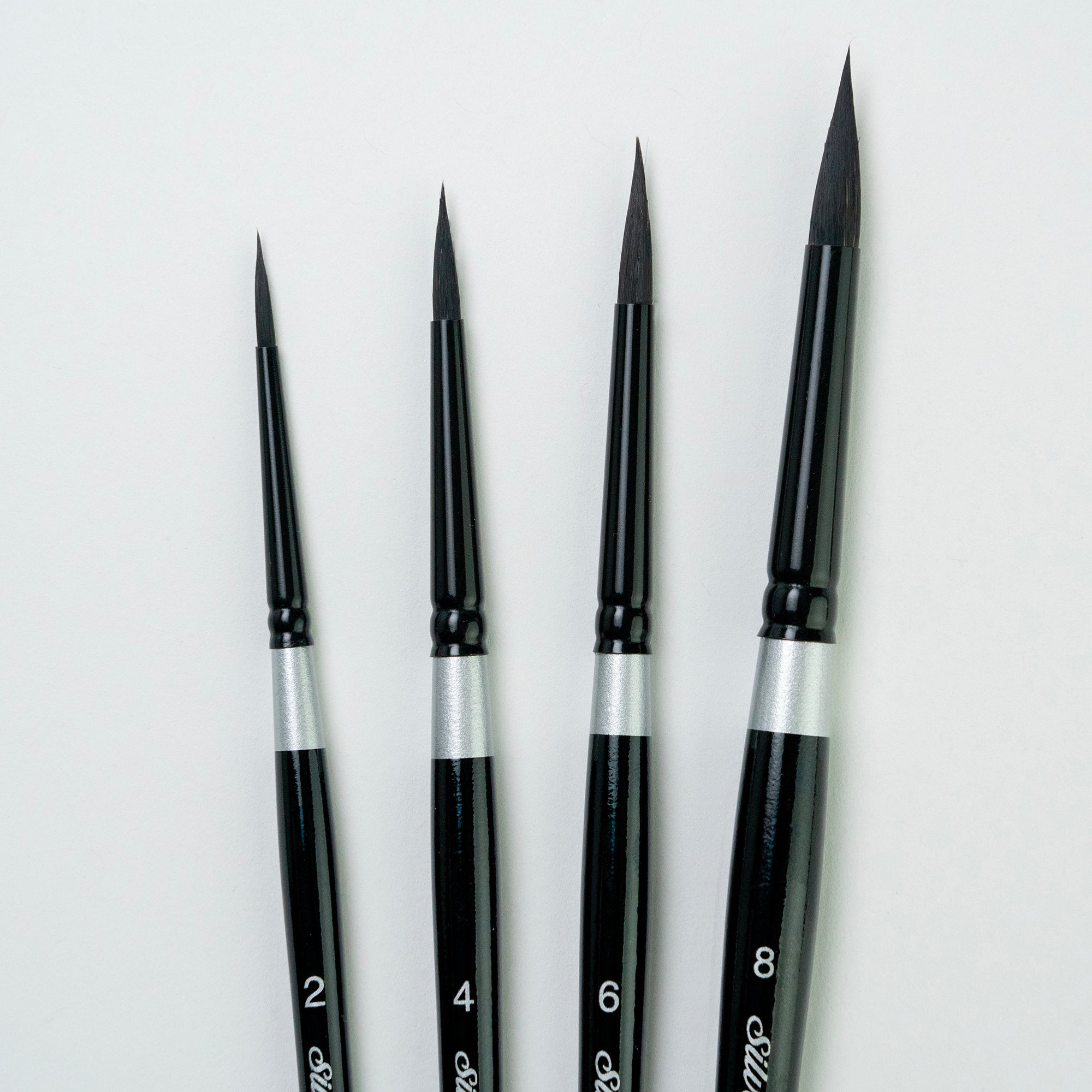 Black Velvet Medium Round Brushes, Set of 4