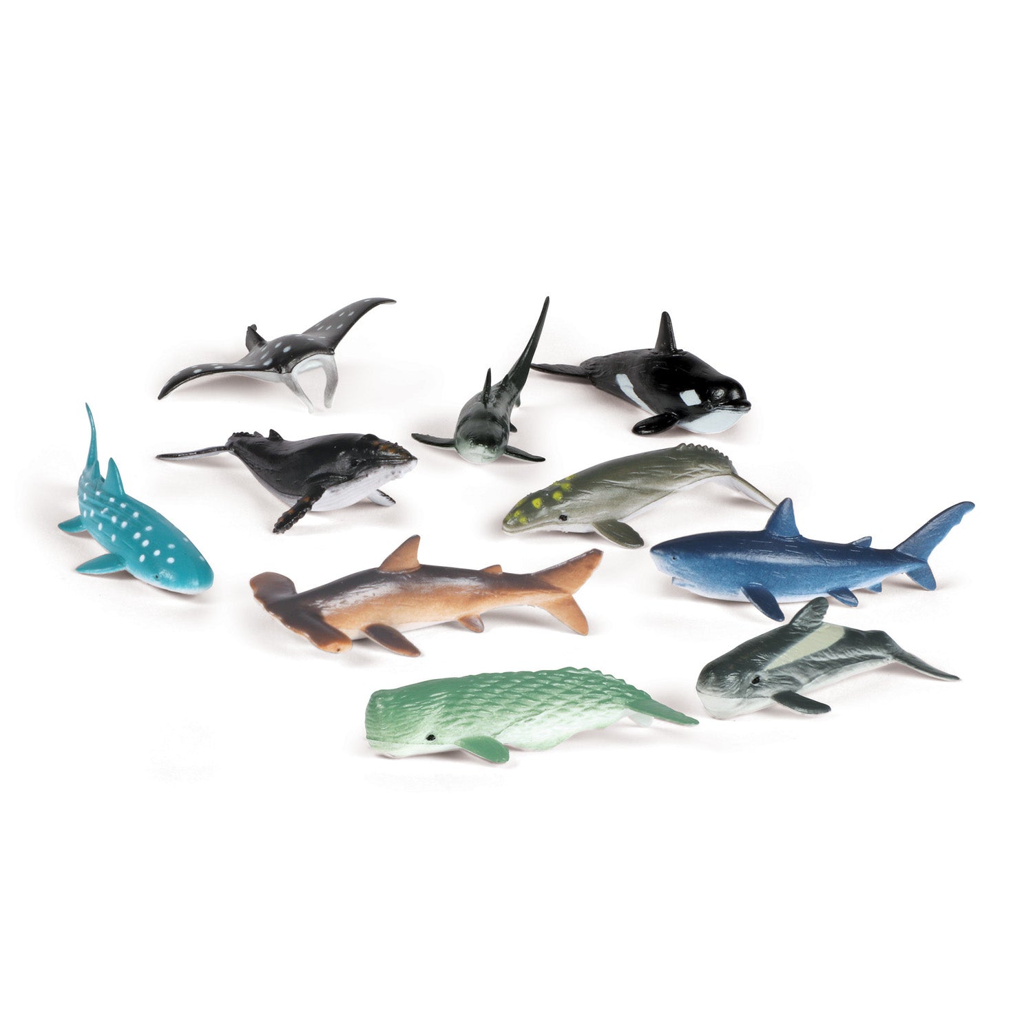 Ocean Creatures, Set of 50