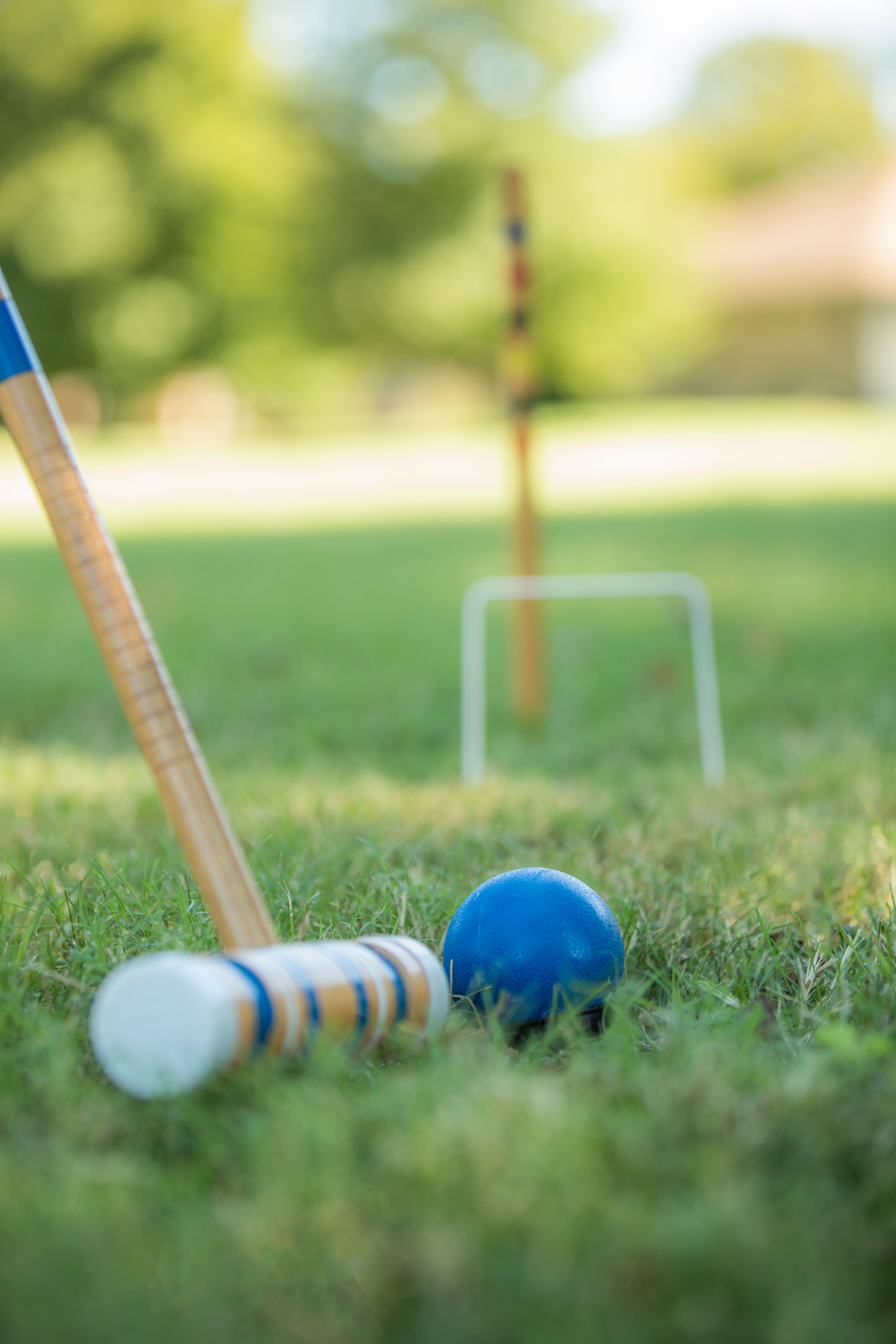 Triumph Six-Player Croquet Set