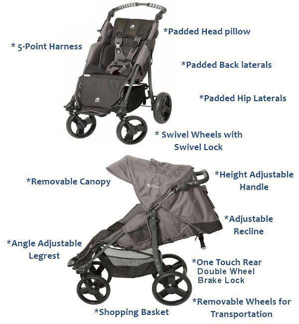 EIO Push Chair