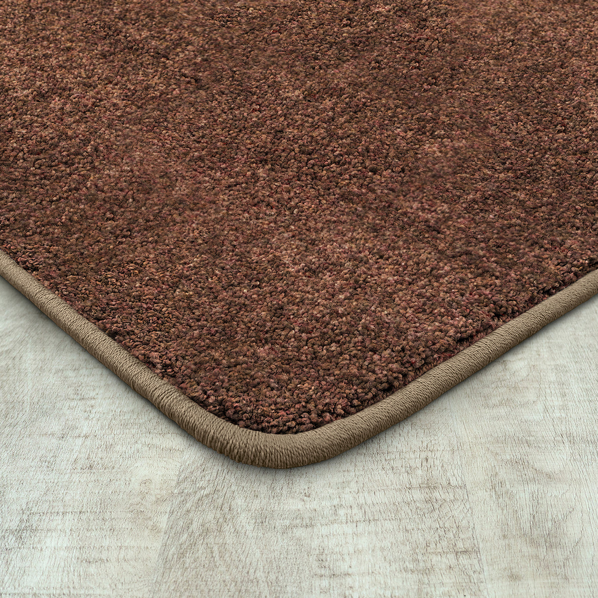 Endurance 4' x 6' area rug in color Brown