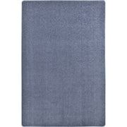 Endurance 4' x 6' area rug in color Glacier Blue