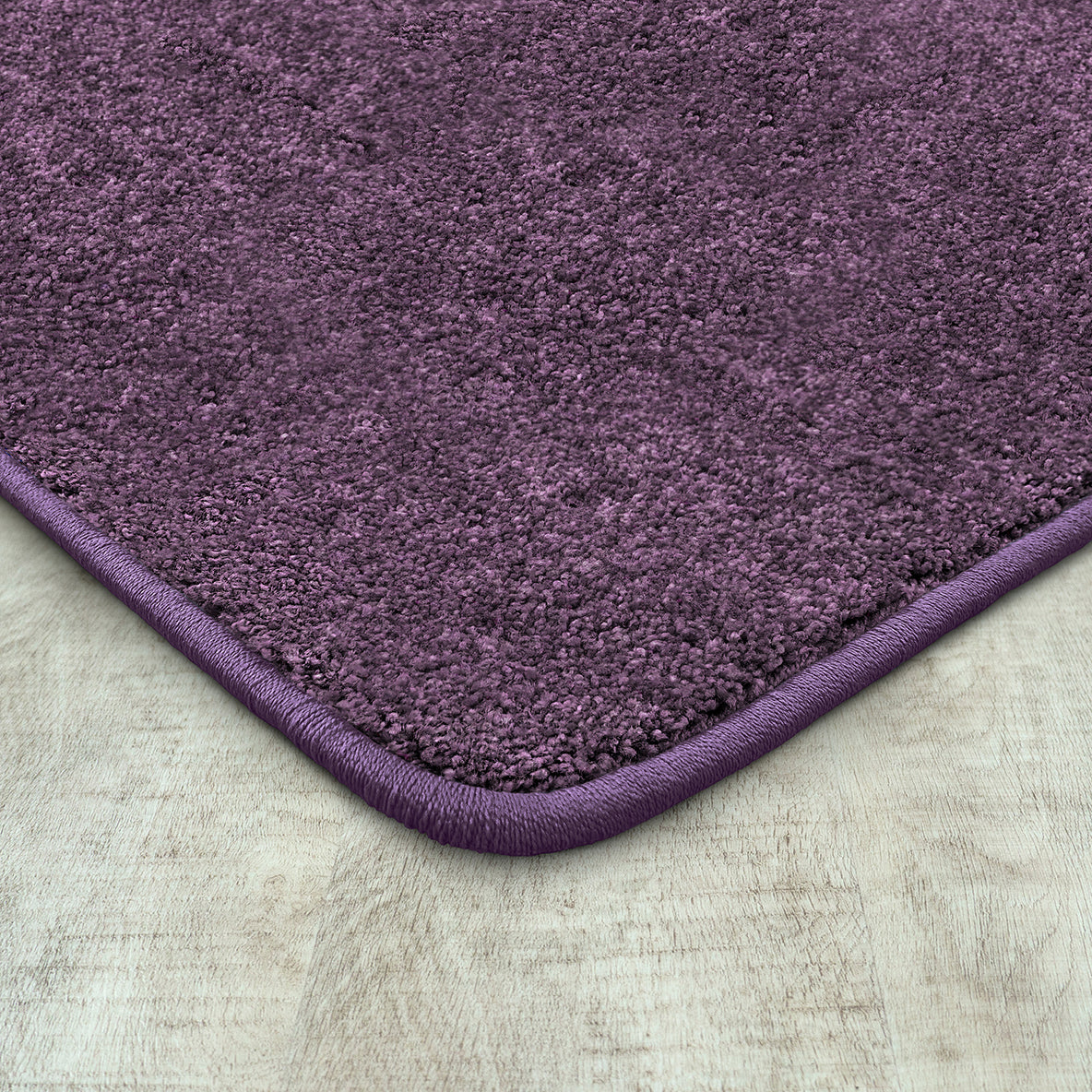 Endurance 4' x 6' area rug in color Purple