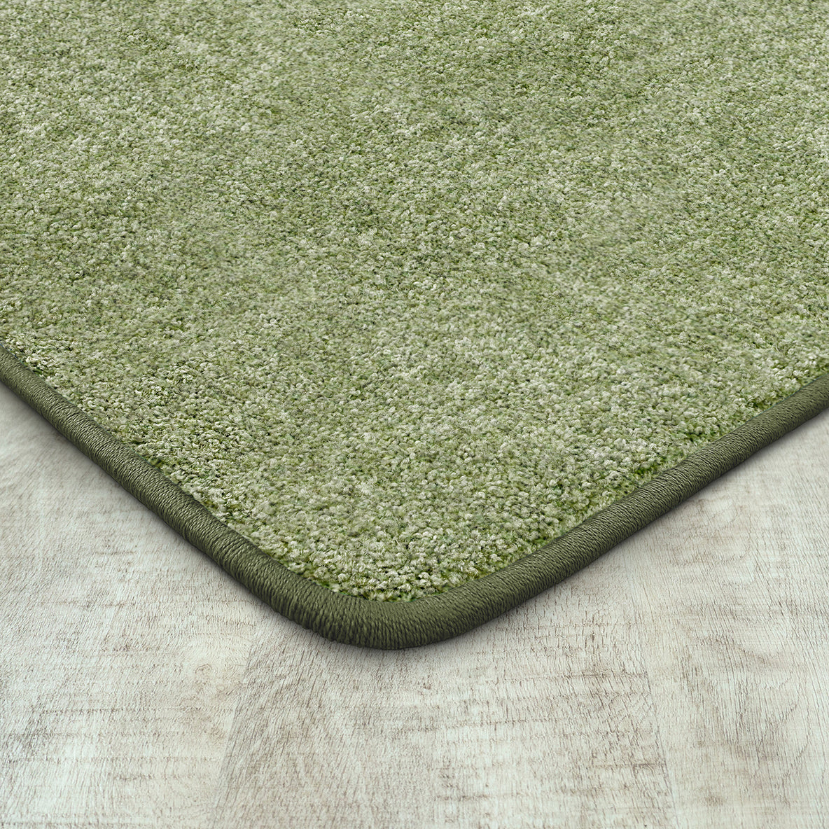 Endurance 4' x 6' area rug in color Sage