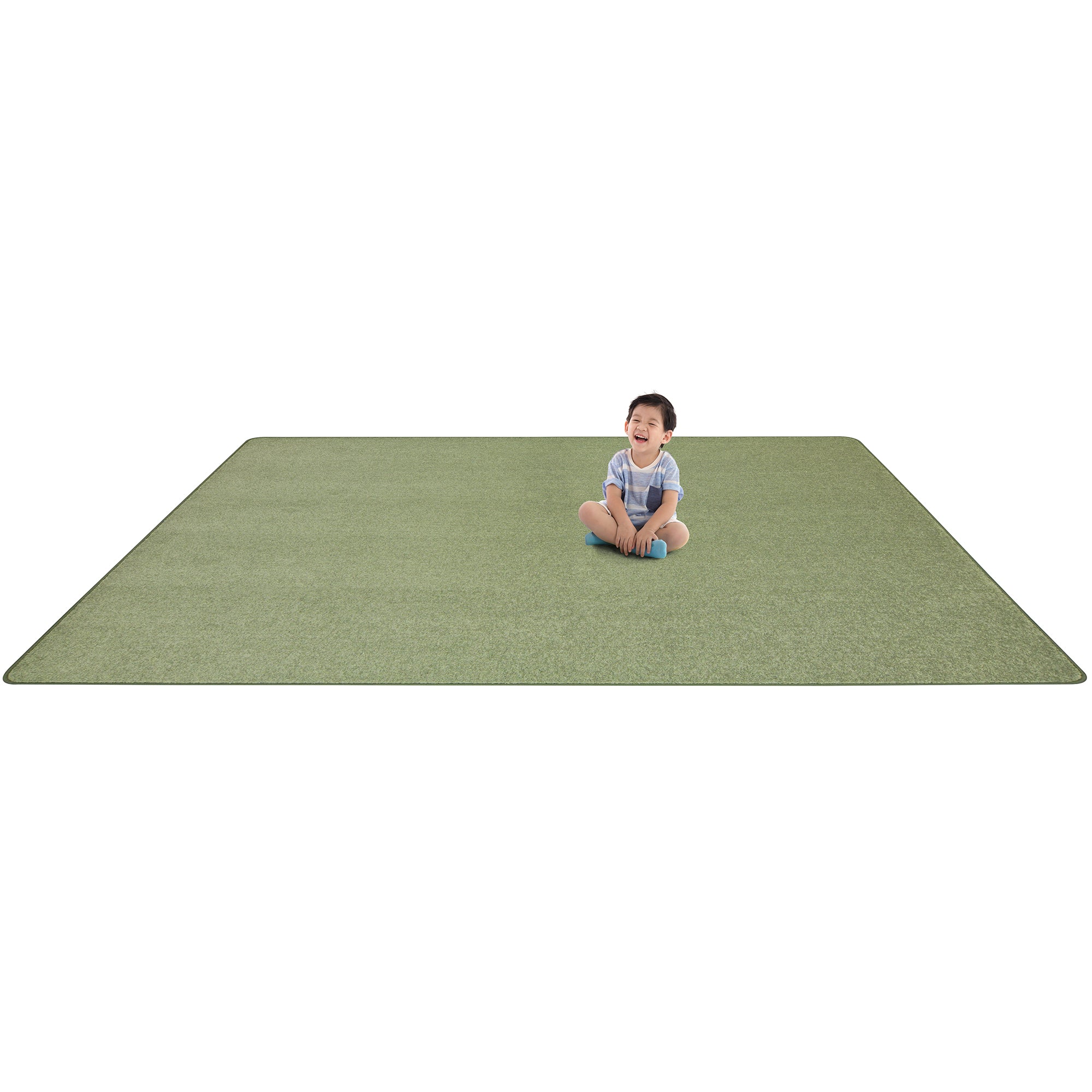 Endurance 12' x 12' area rug in color Sage