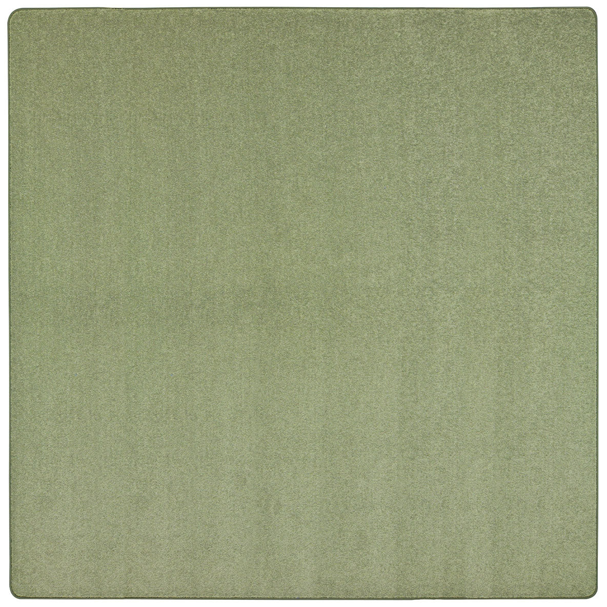 Endurance 6' x 6' area rug in color Sage