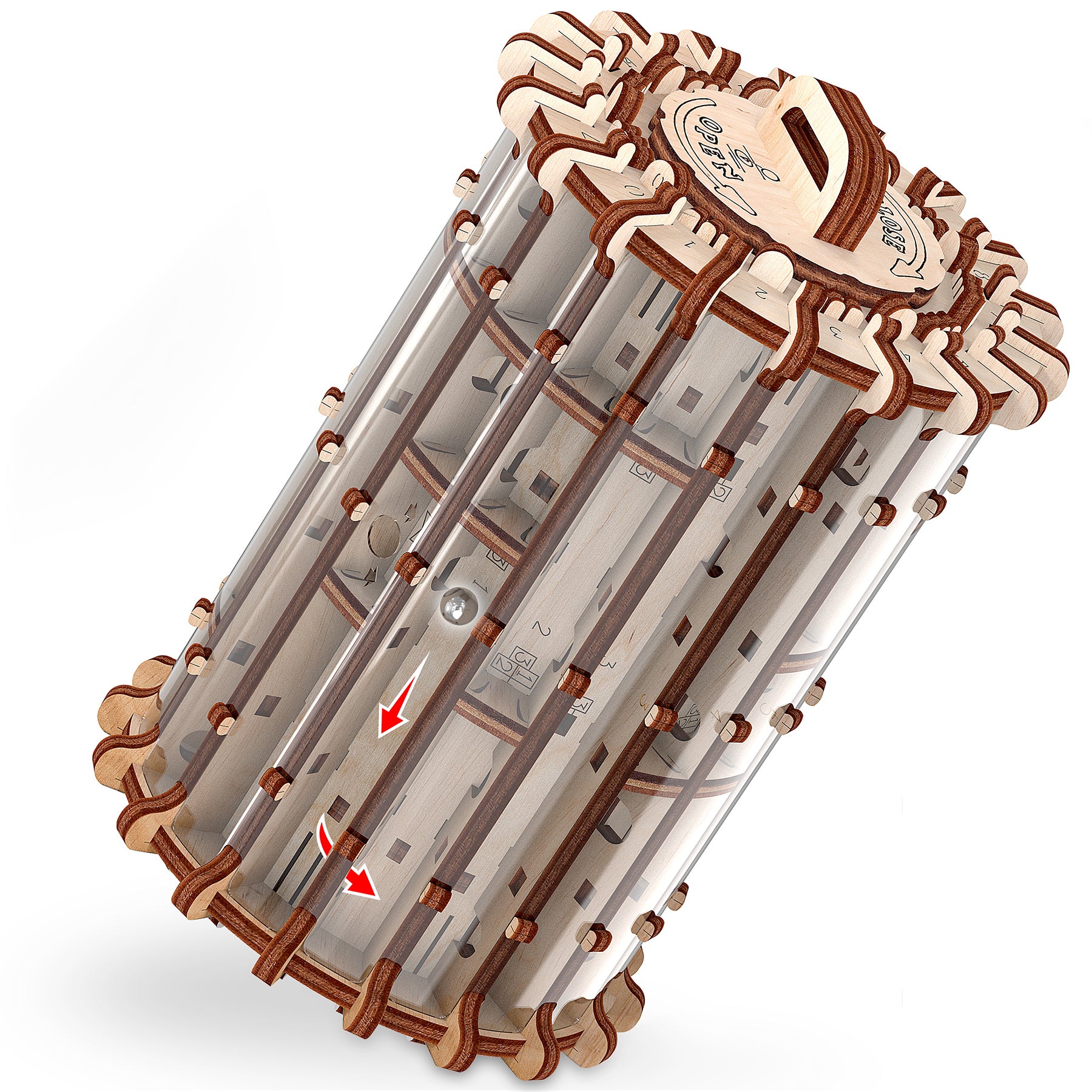 Labyrinth Scroll & Hole 3D Wooden STEM Puzzle