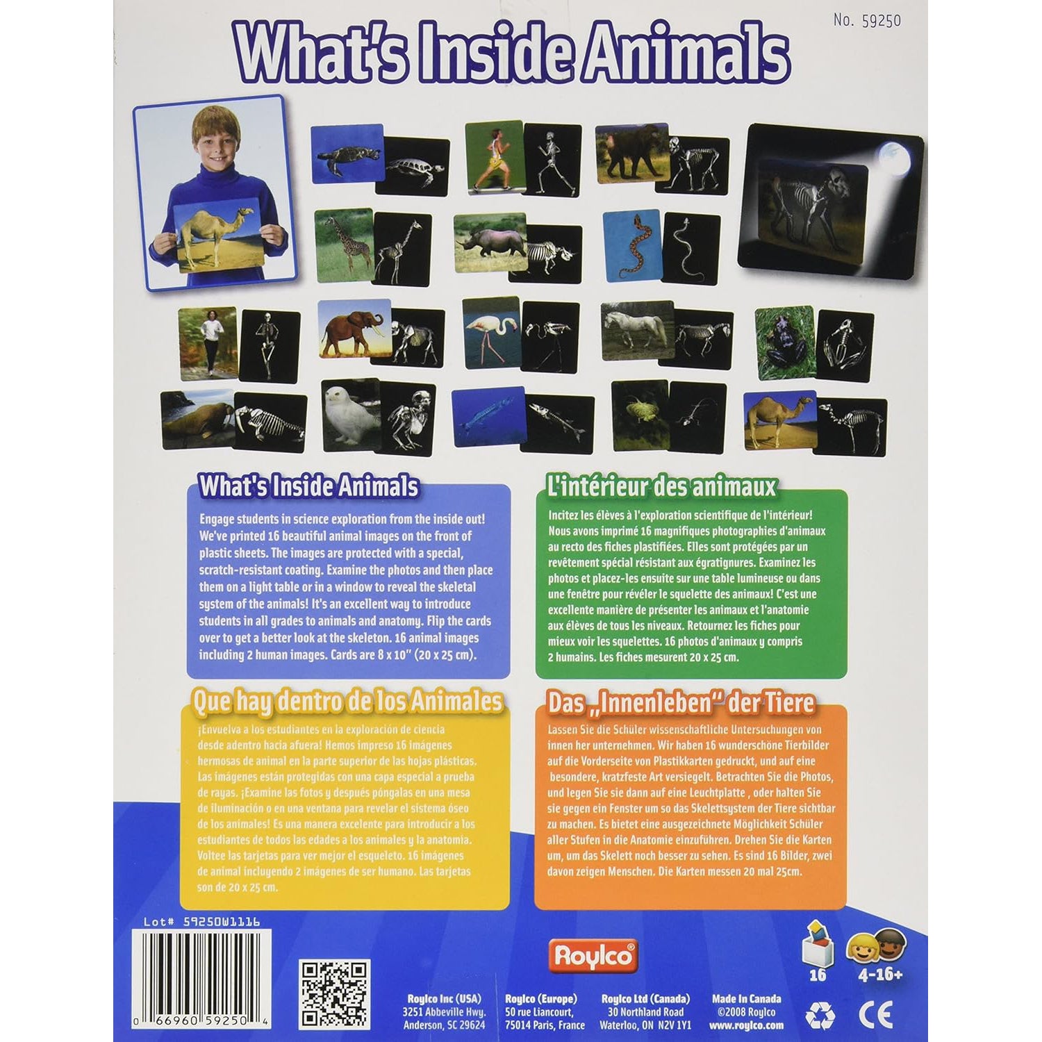 What’s Inside Animals Card Set