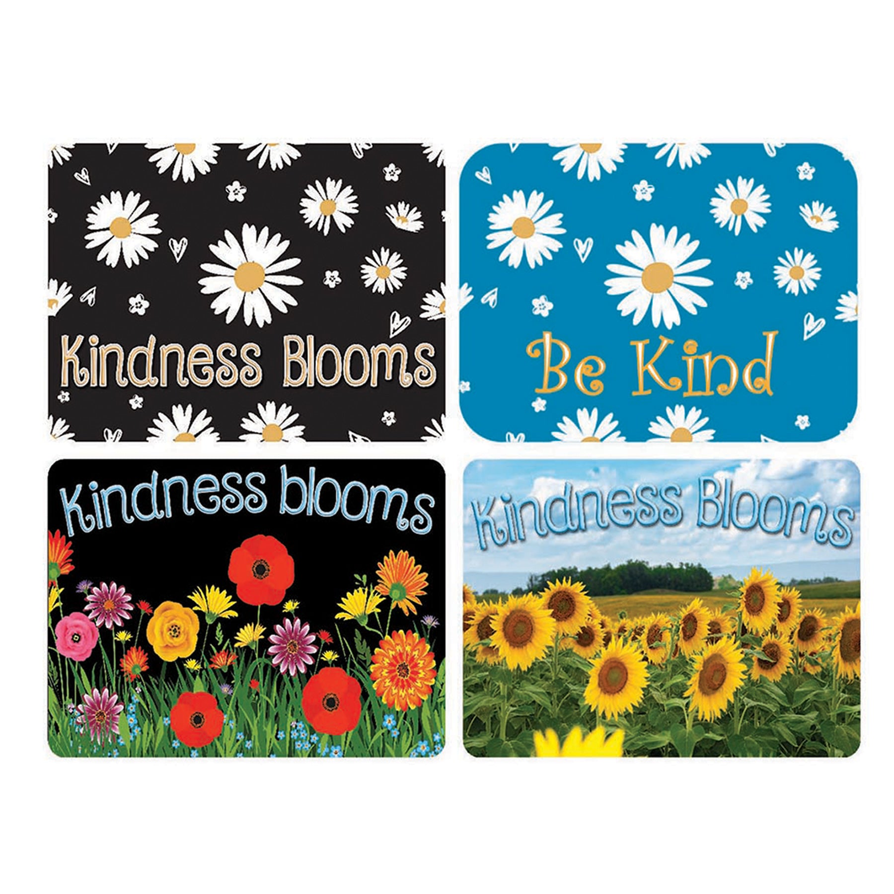 10CT MINI WHITEBORD ERASER KINDNESS