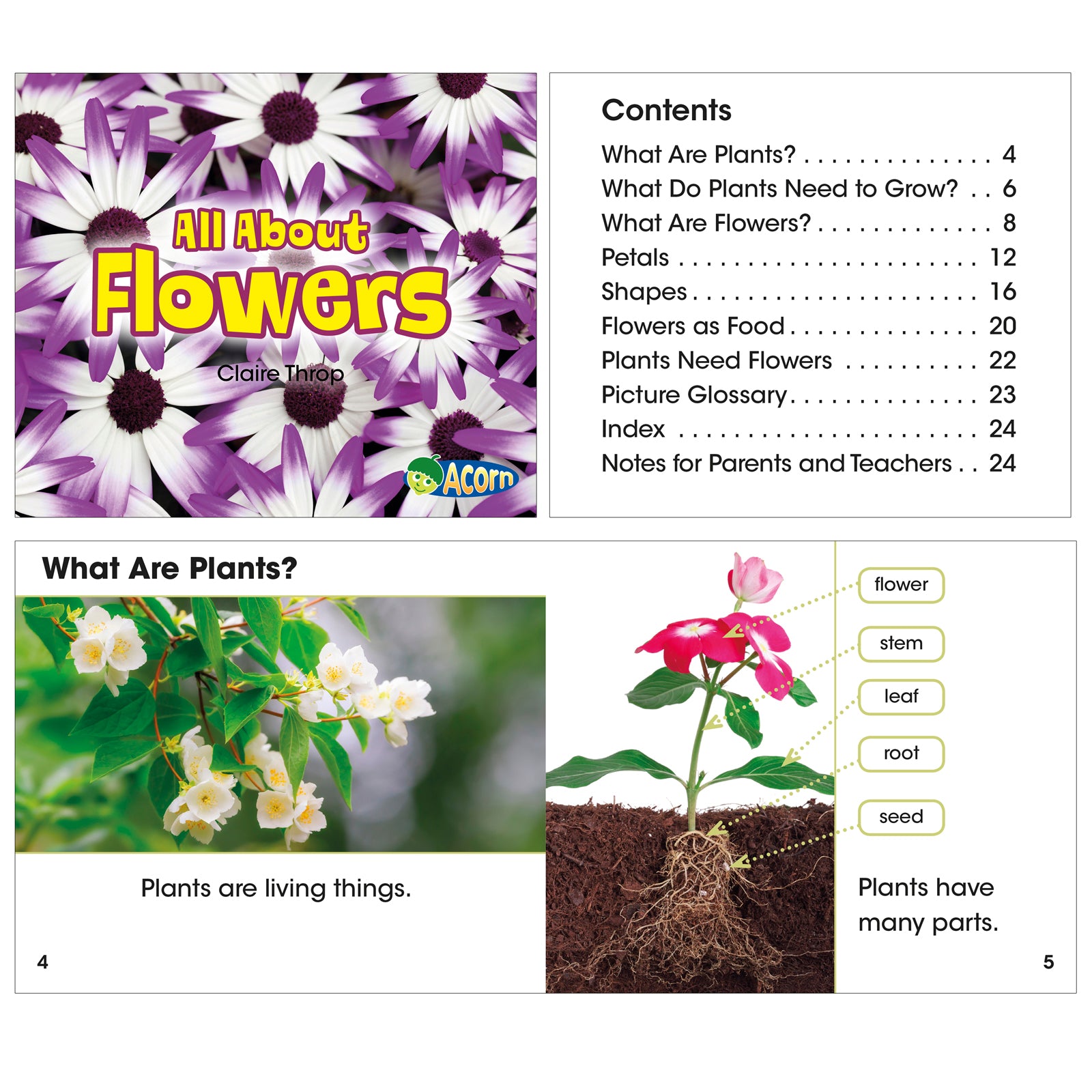 All About Plants Book Set, Set of 5