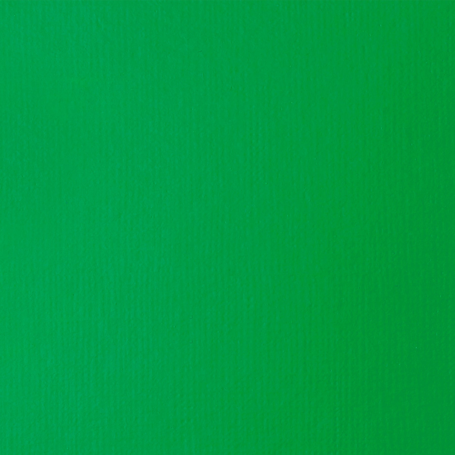 LQ BASICS Acrylic Fluid 118ml Bottle -  Light Green Permanent