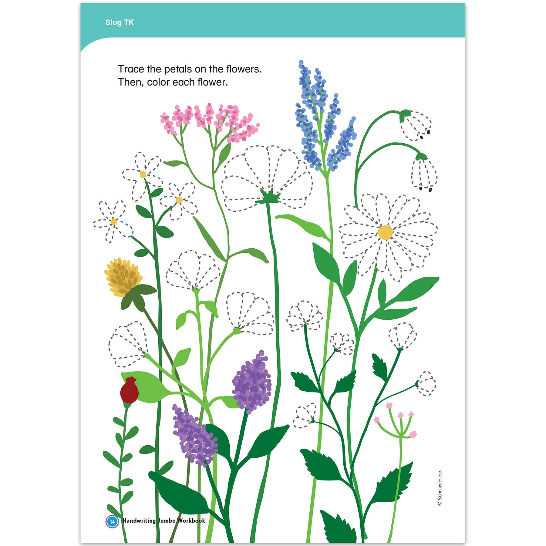 Handwriting Jumbo Workbook