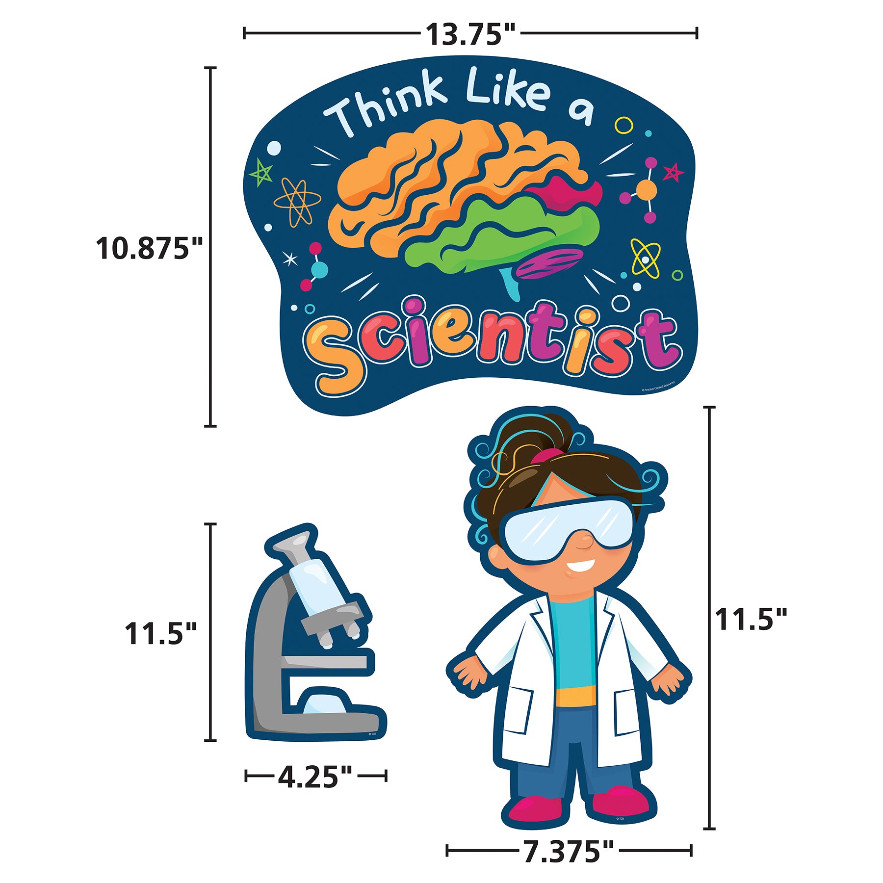 Science Talk Bulletin Board Set, 60 Pieces