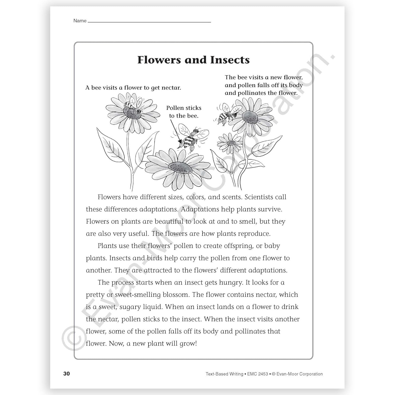 Text-Based Writing, Grade 3