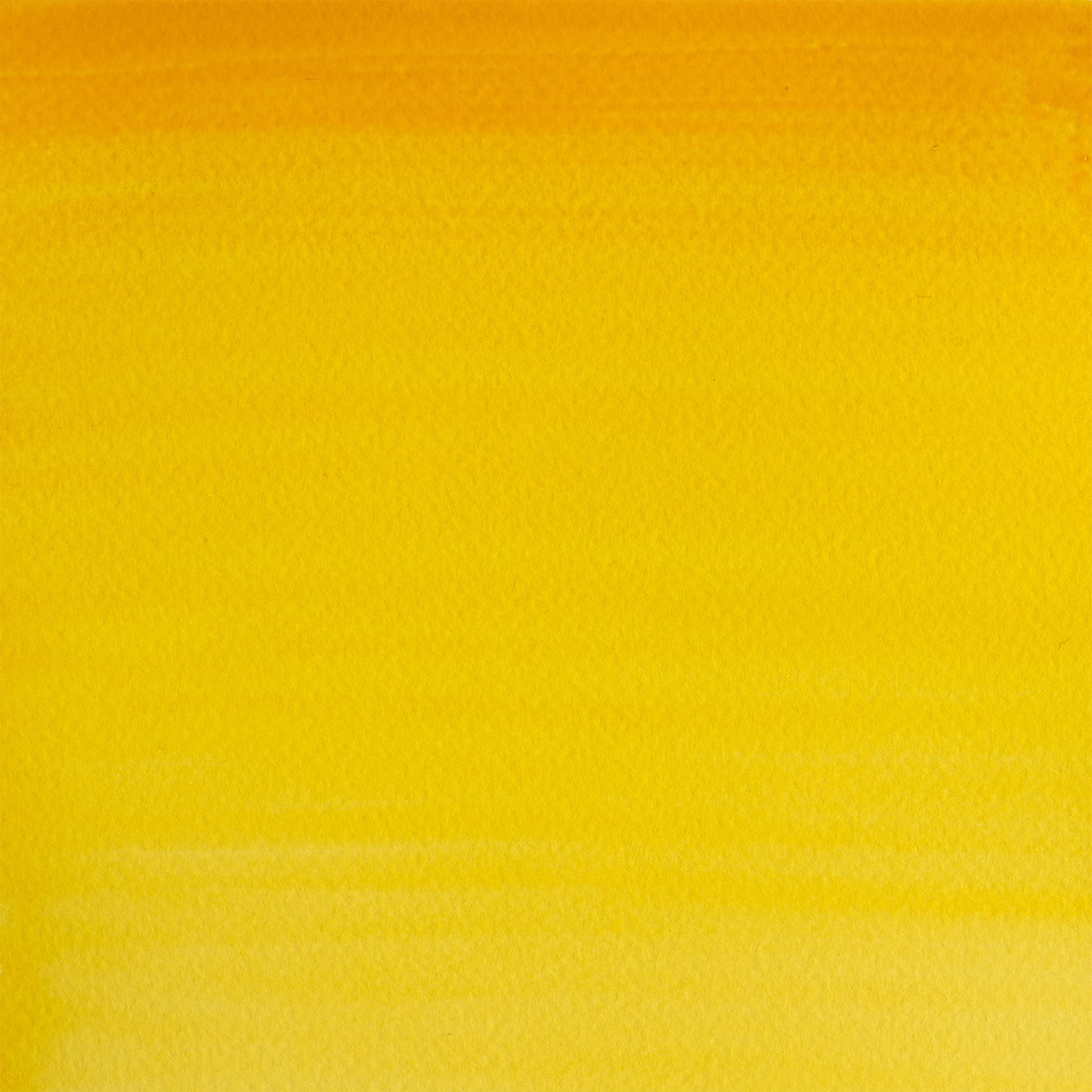 CWC 21ml tube - Cadmium Yellow Hue