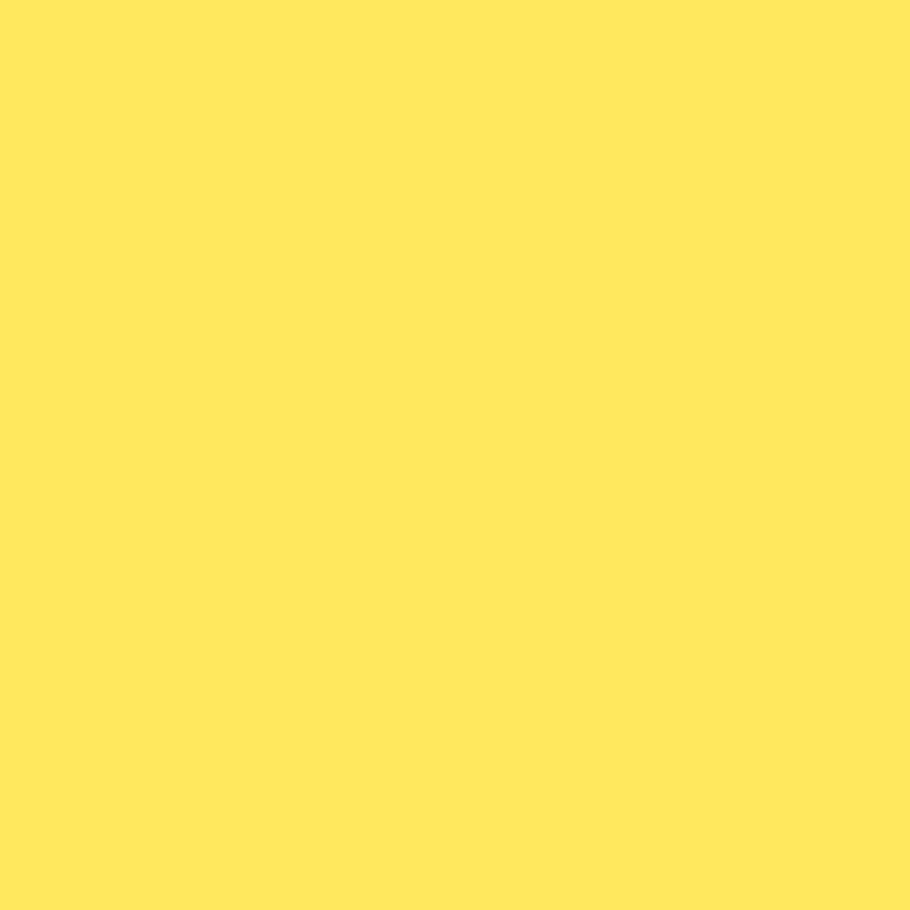 Acrylic Paint Matte, 8oz., Canary Yellow