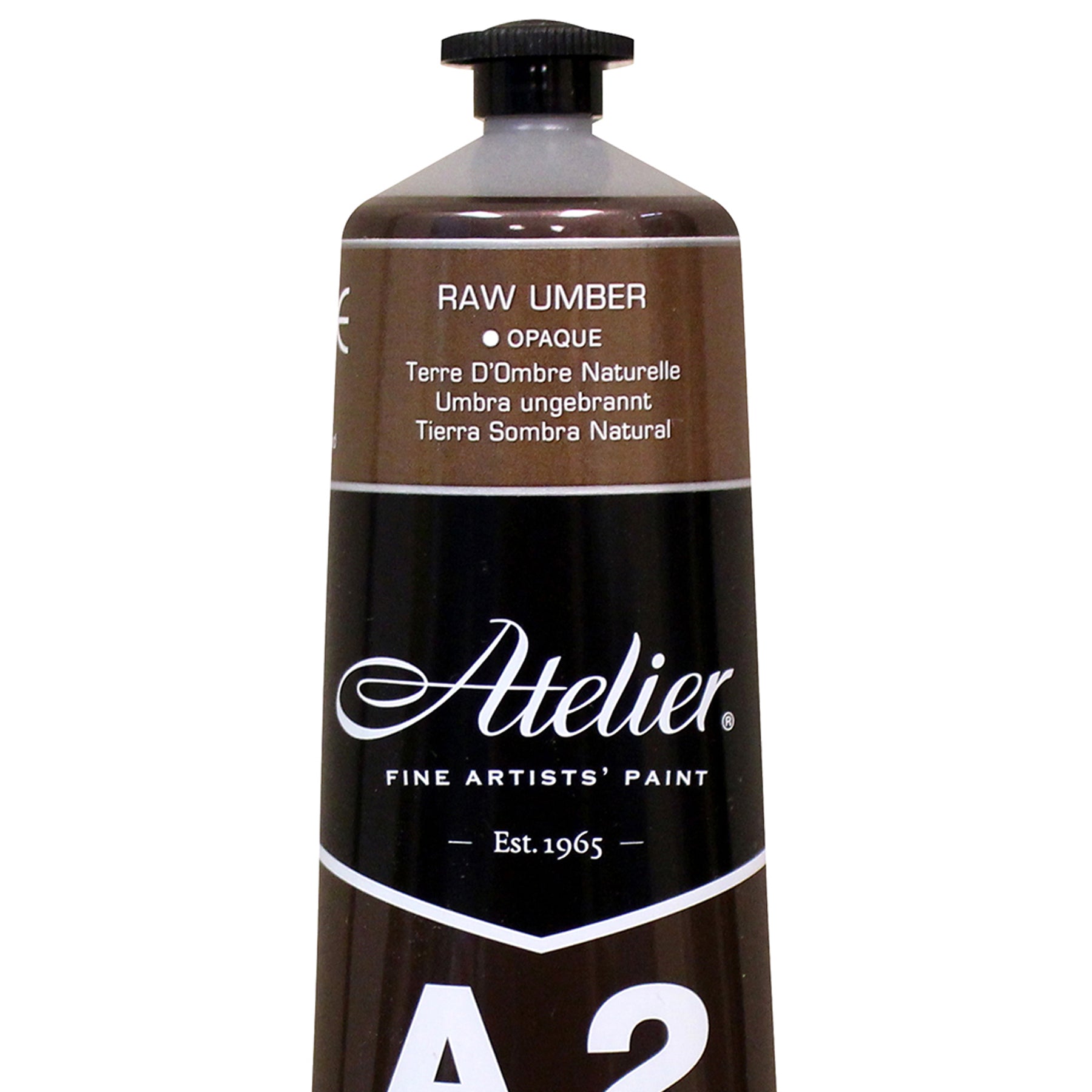 A2 Heavy Body Lightfast Artist Acrylic, 4 oz., Raw Umber
