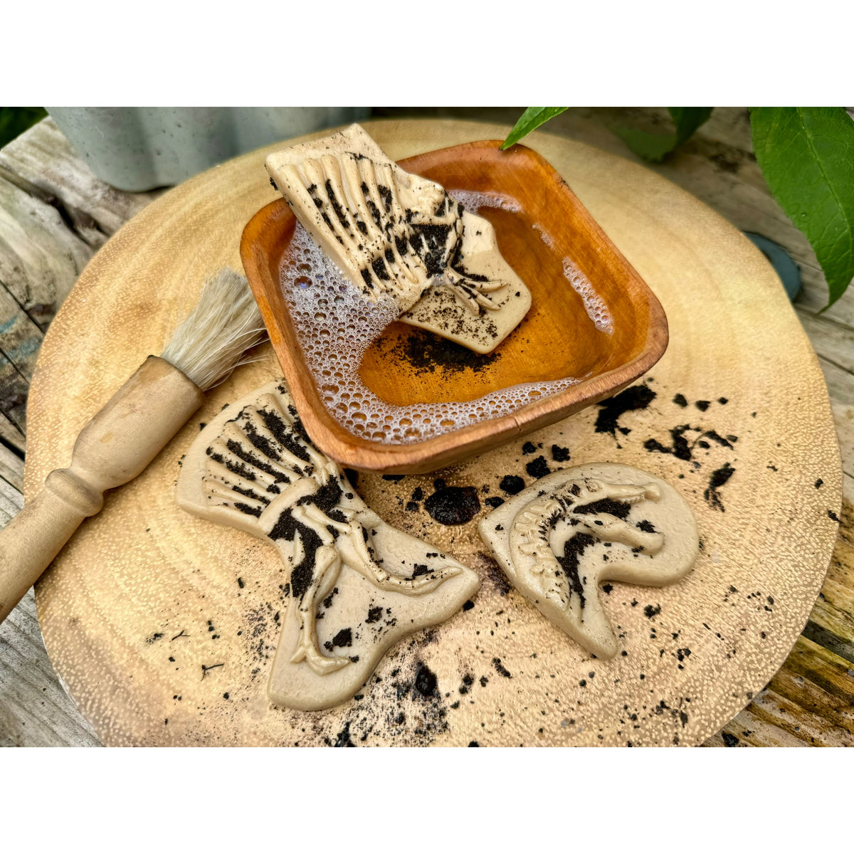 Dig and Discover - Triceratops & Spinosaurus
