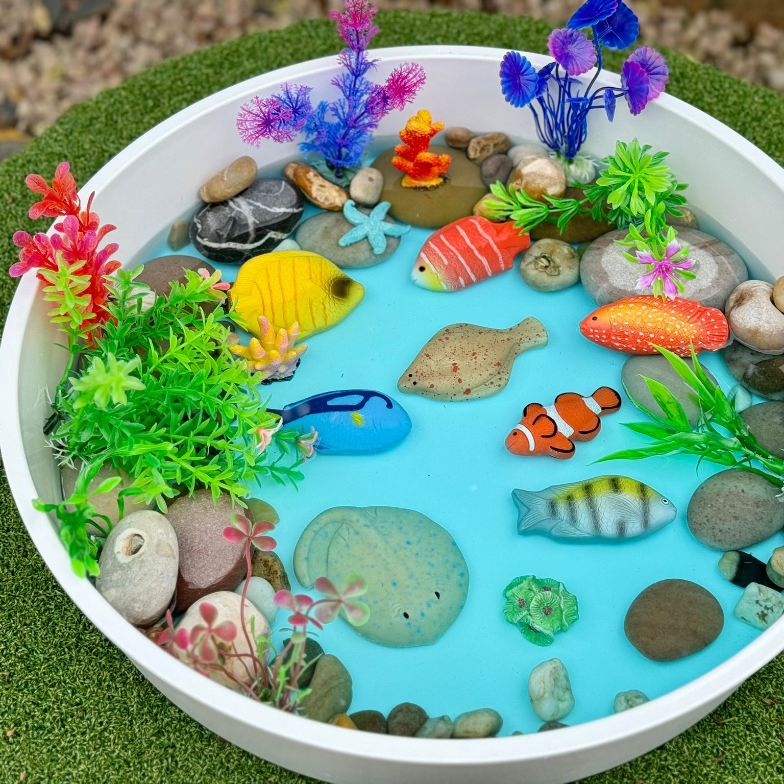 Sensory Play Stones - Fish