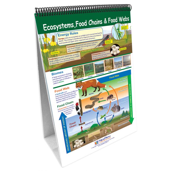 STAAR Grade 8 Science Organisms & Environment Curriculum Mastery Flip Charts