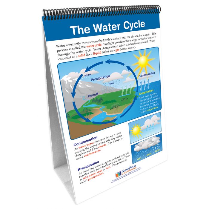 STAAR Grade 5 Science Earth & Space Curriculum Mastery Flip Charts