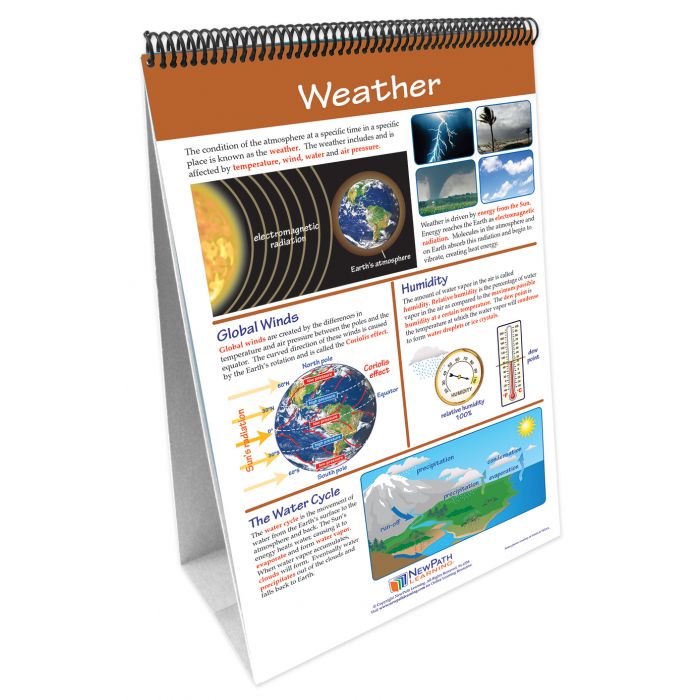 STAAR Grade 8 Science Earth & Space Curriculum Mastery Flip Charts