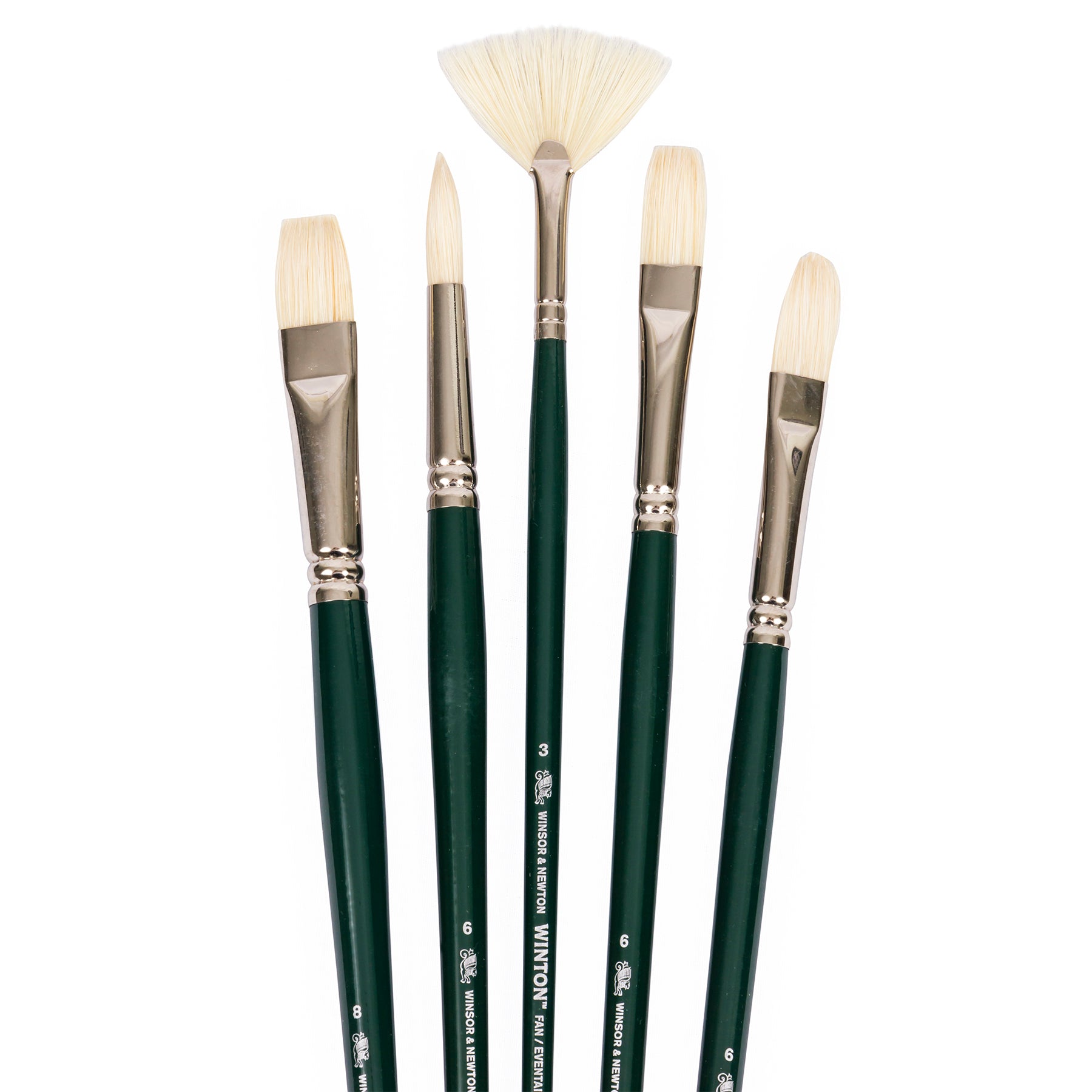 Winton Brush Set - LH 5pk