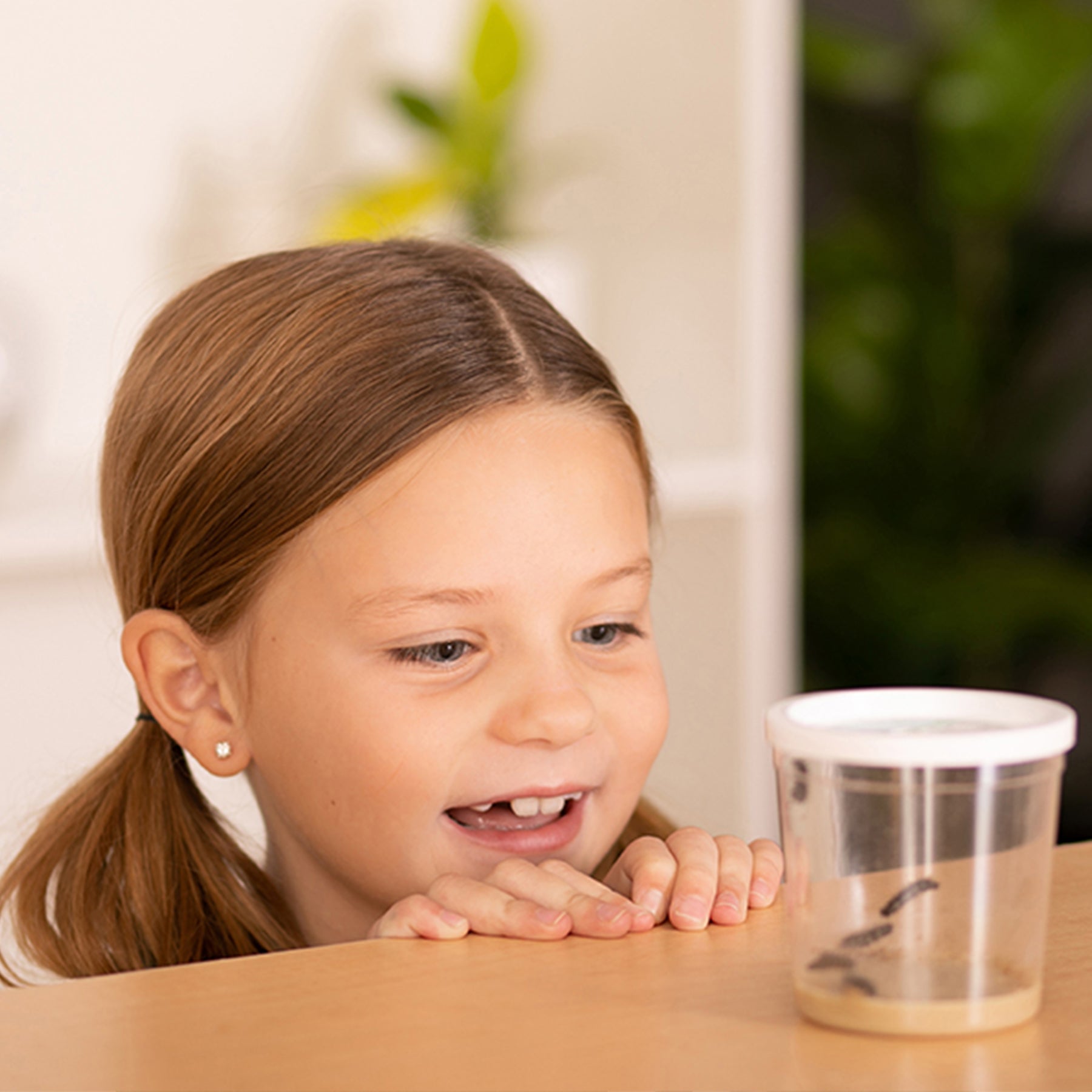 Butterfly Garden with Prepaid Voucher