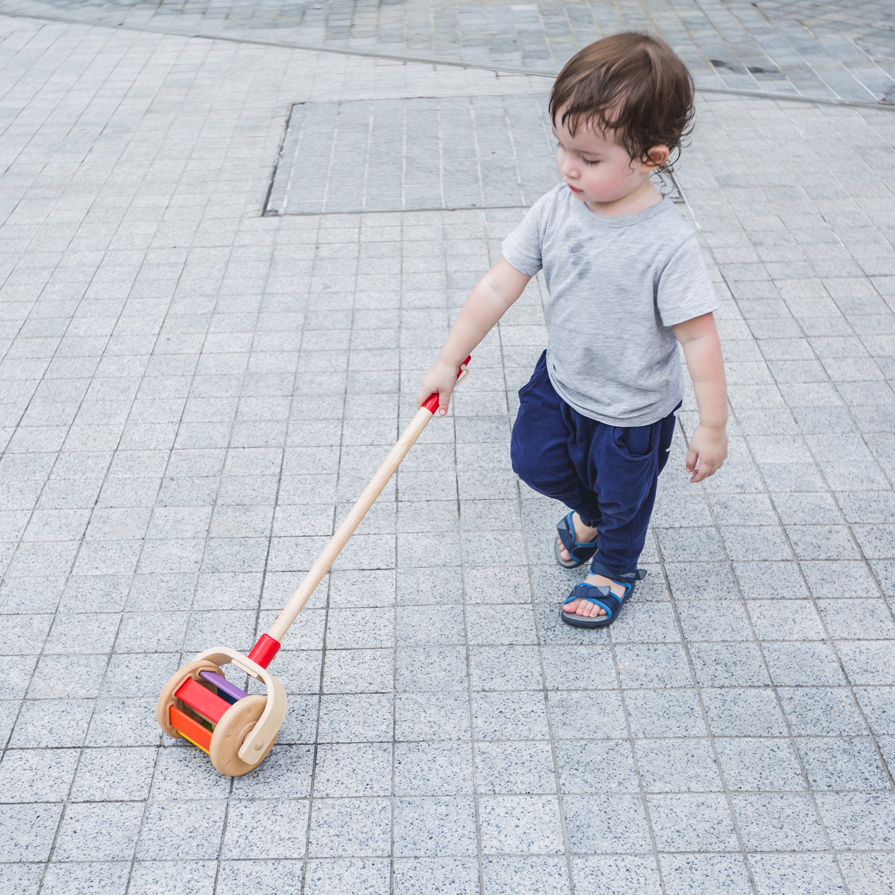 Walk N Roll Wooden Push & Pull Toy