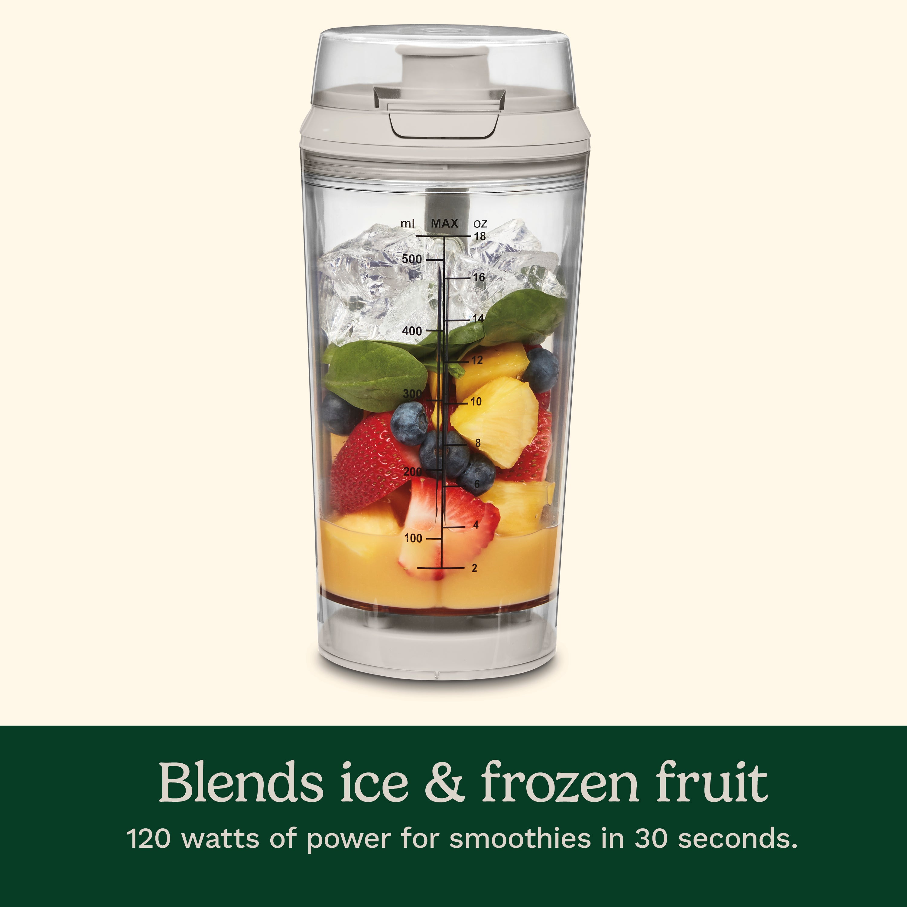 Personal Portable Blender