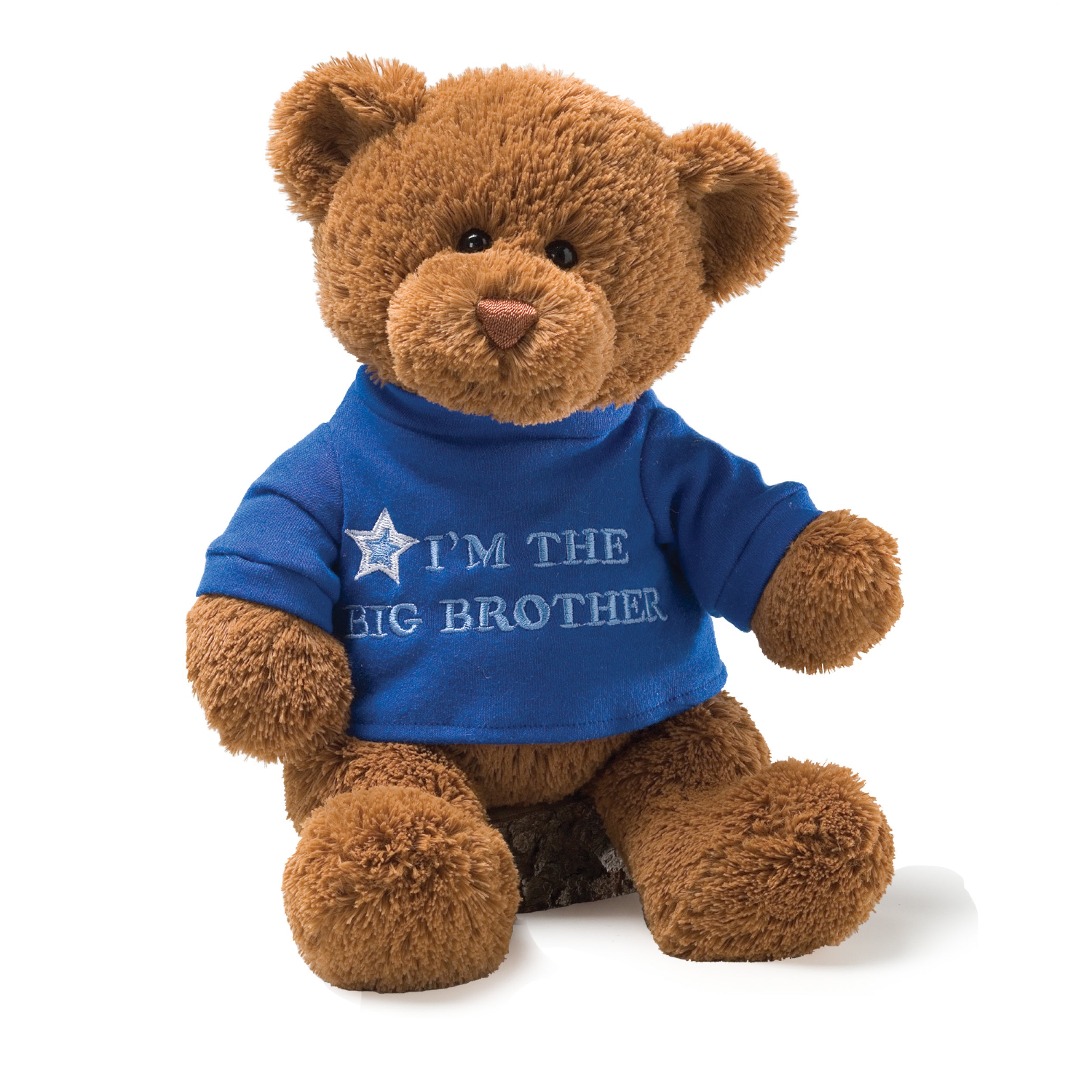 GUND “I’m the Big Brother” Message Bear with Blue T-Shirt, Teddy Bear Stuffed Animal for Ages 1 and Up, Brown, 12”