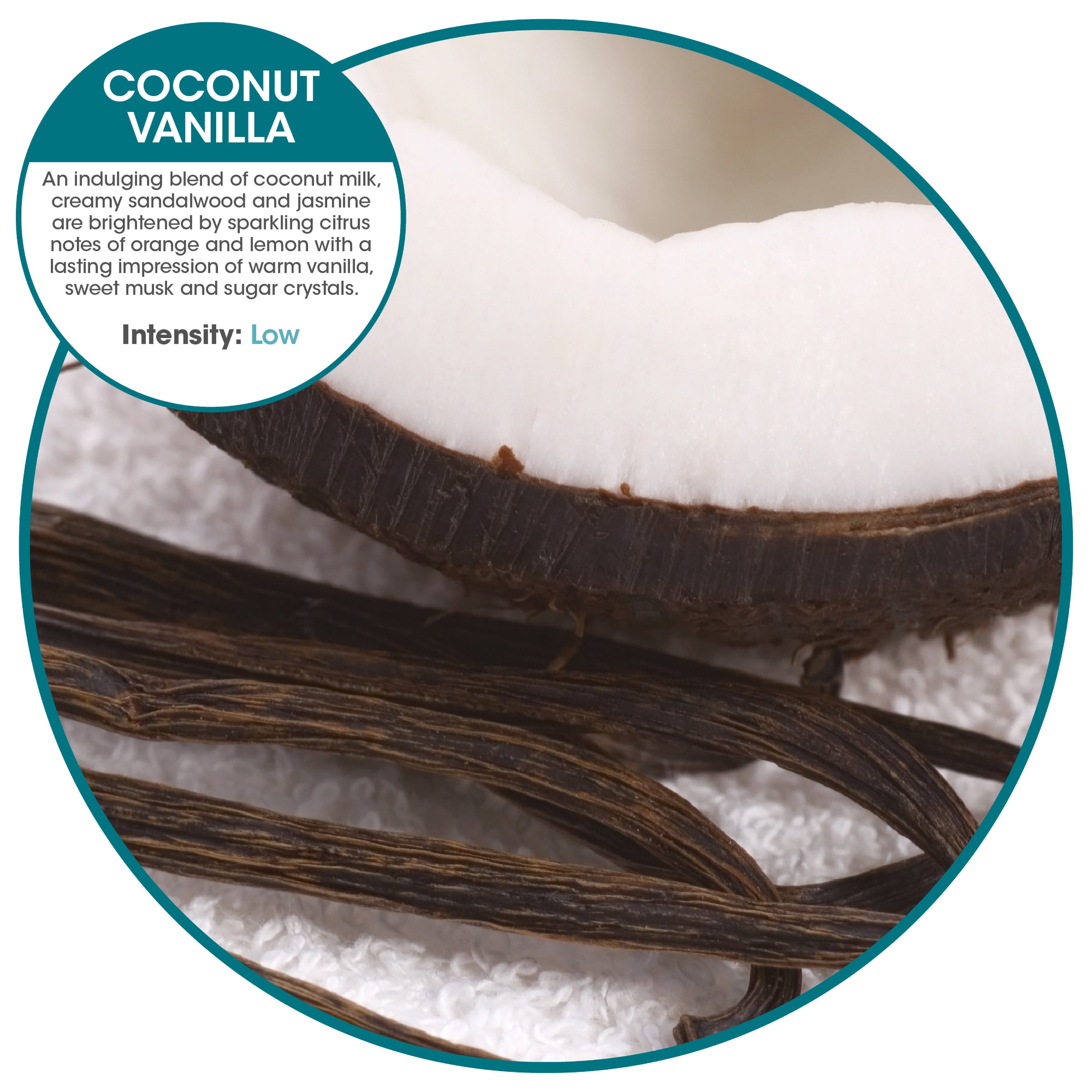 My Fresh refill - Coconut Vanilla (36 Pack)