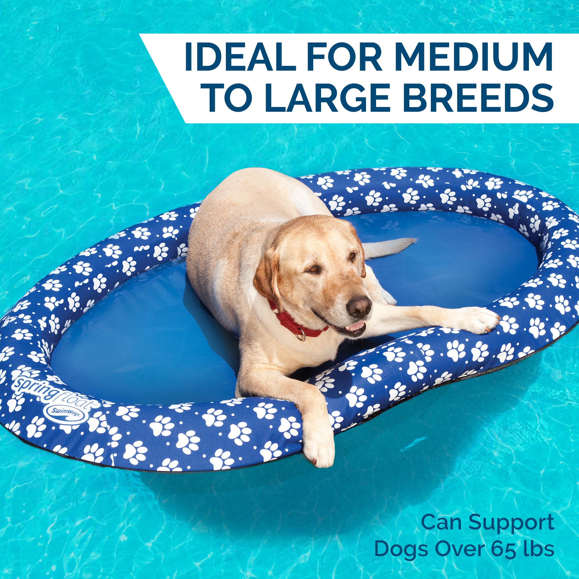 SwimWays Spring Float Paddle Paws Dog Pool Float - Large 65 lbs and Up