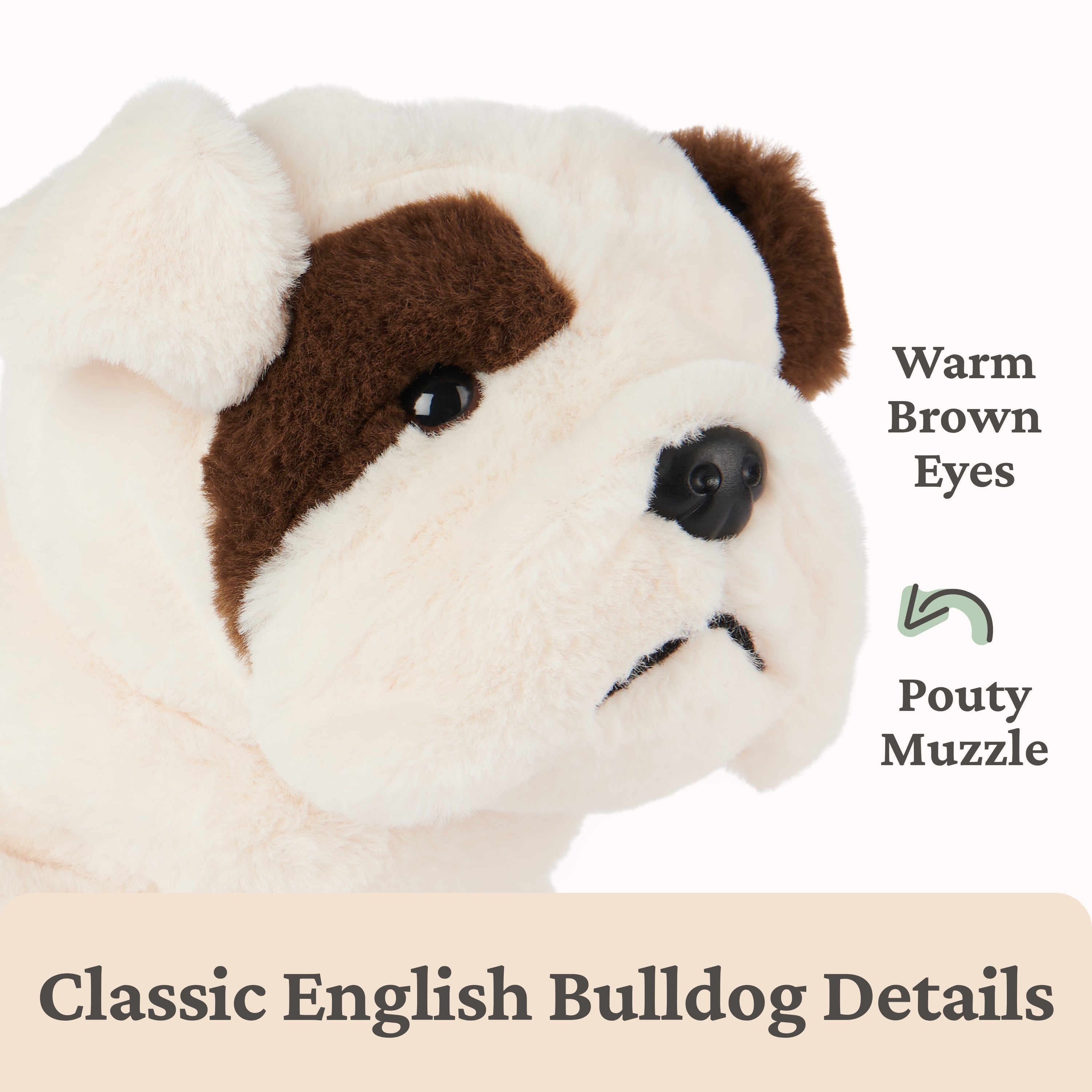 GUND Toast Bulldog Puppy Plush, Stuffed Animal Dog for Ages 1 and Up, 10”, Brown/White