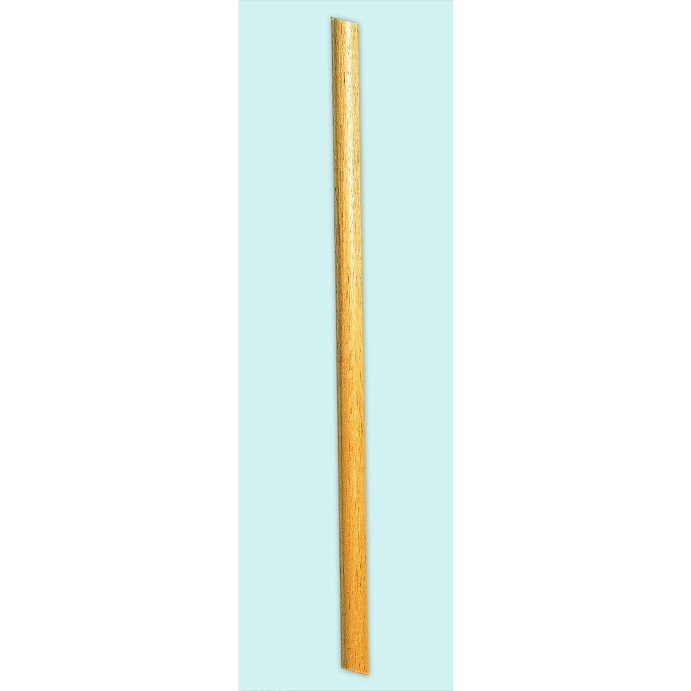 6 FT B POLE ONE EA