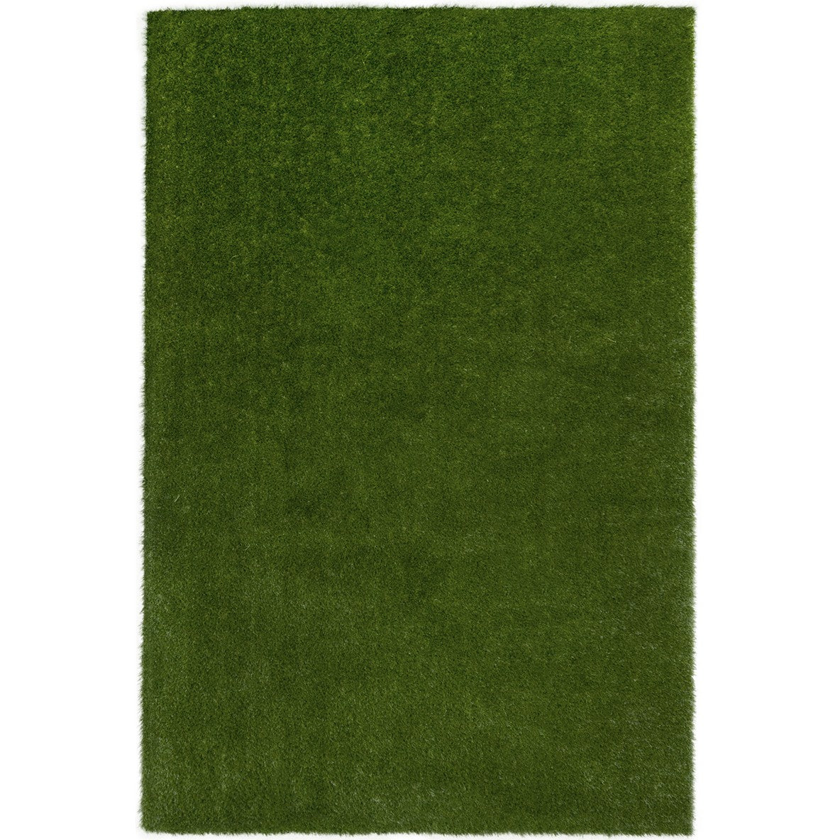 GreenSpace 4' x 6' area rug in color Green