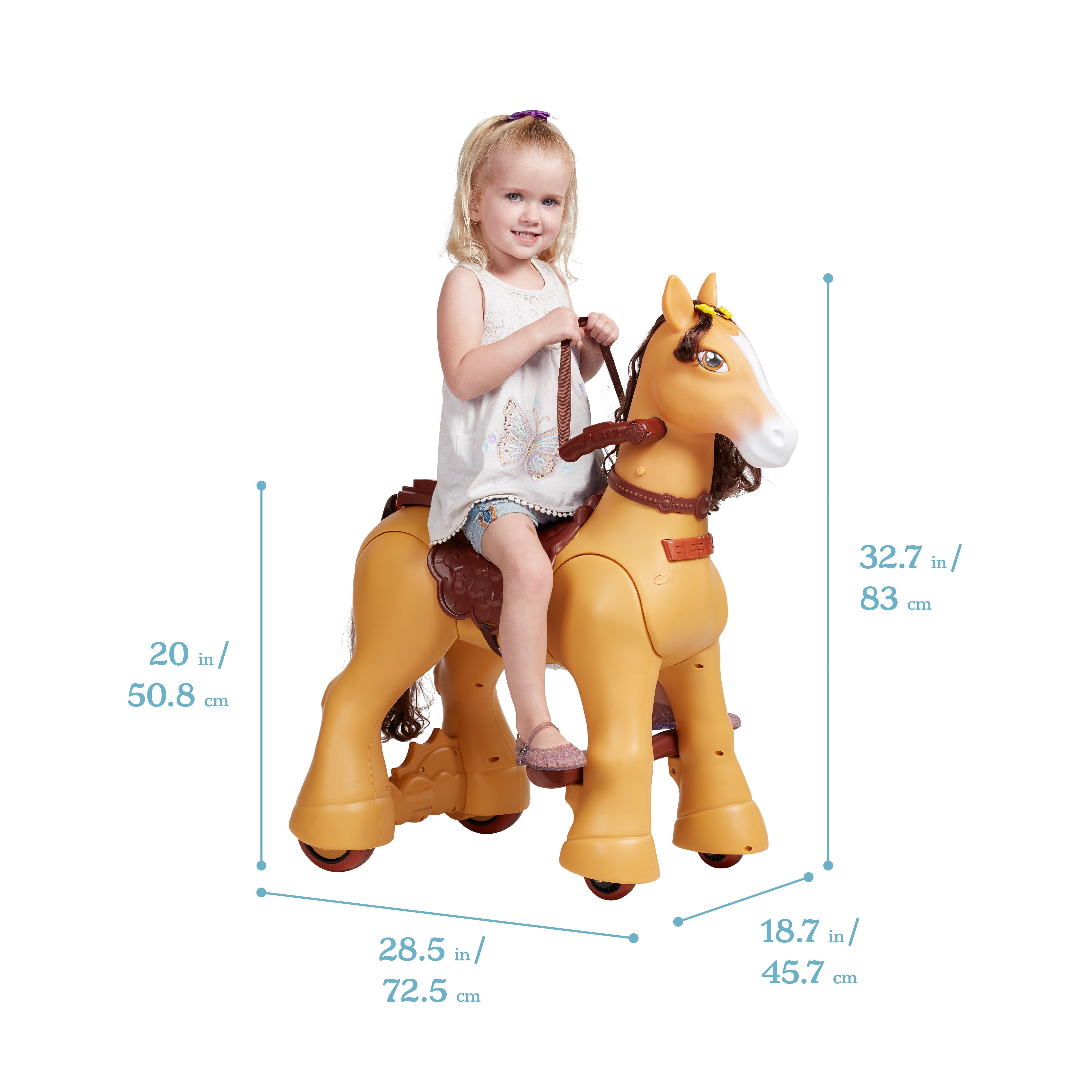 My Wild Pony