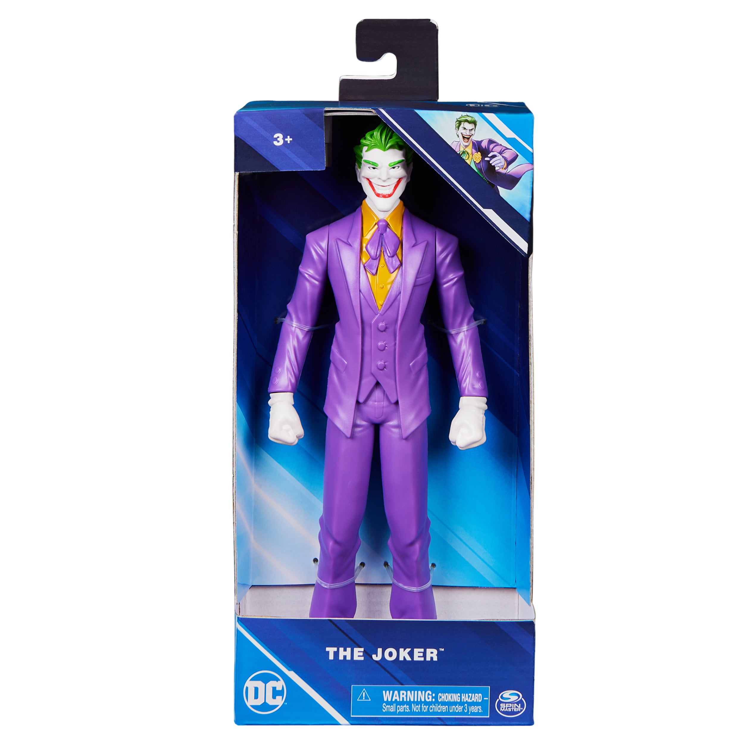 DC UNIVERSE 9.5in FIGURE ASST
