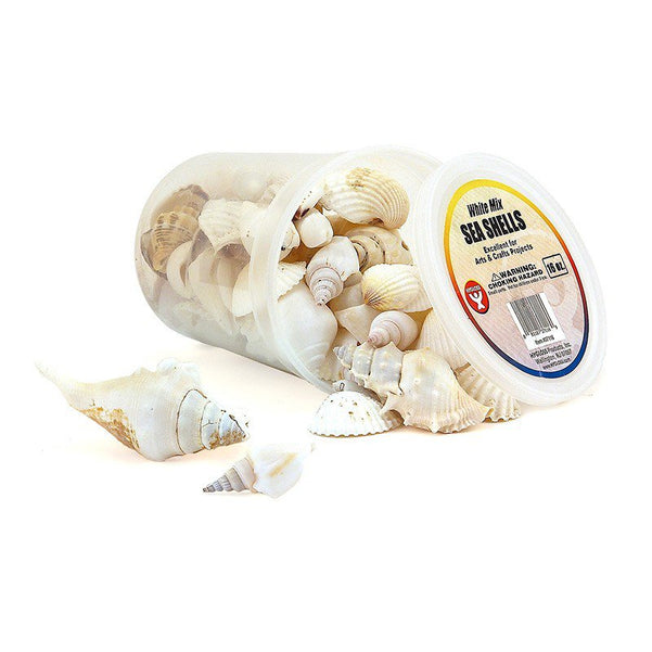 Seashells - 10 oz White Mix