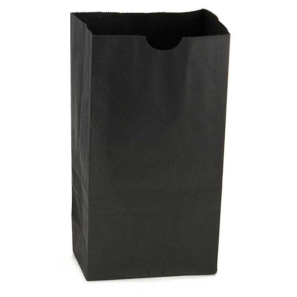 Paper Bags Size #2 -  Black, 100