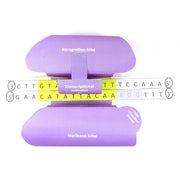 CRISPR 3-D Model Kit