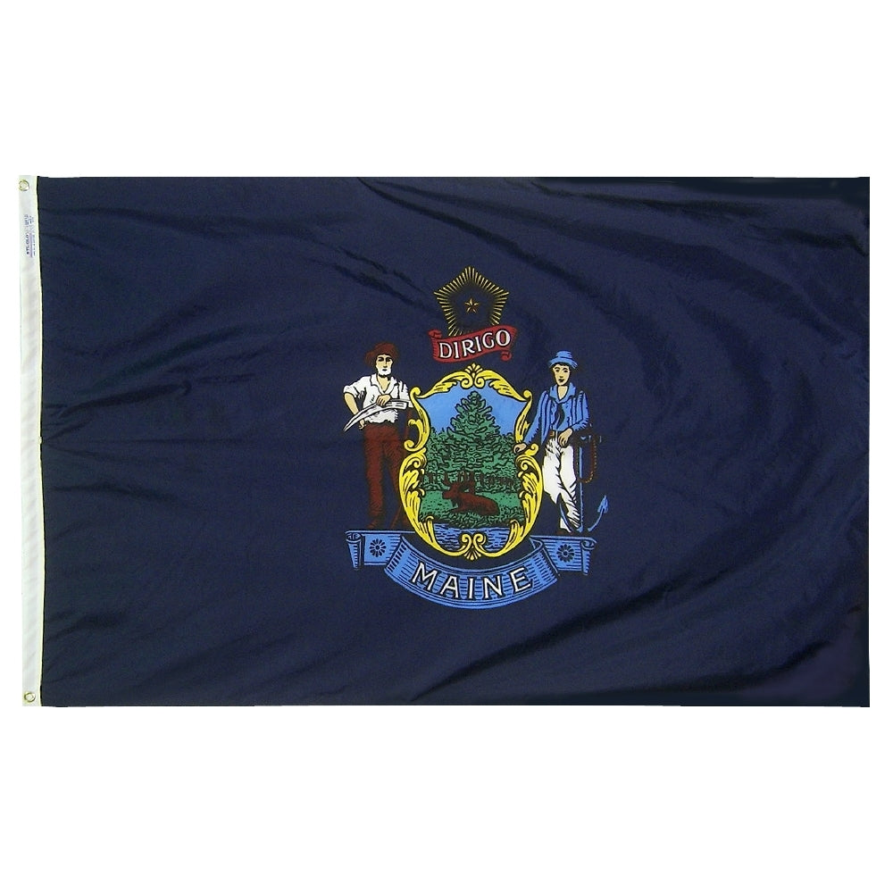 12X18 IN NYL-GLO MAINE