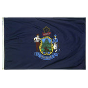 12X18 IN NYL-GLO MAINE